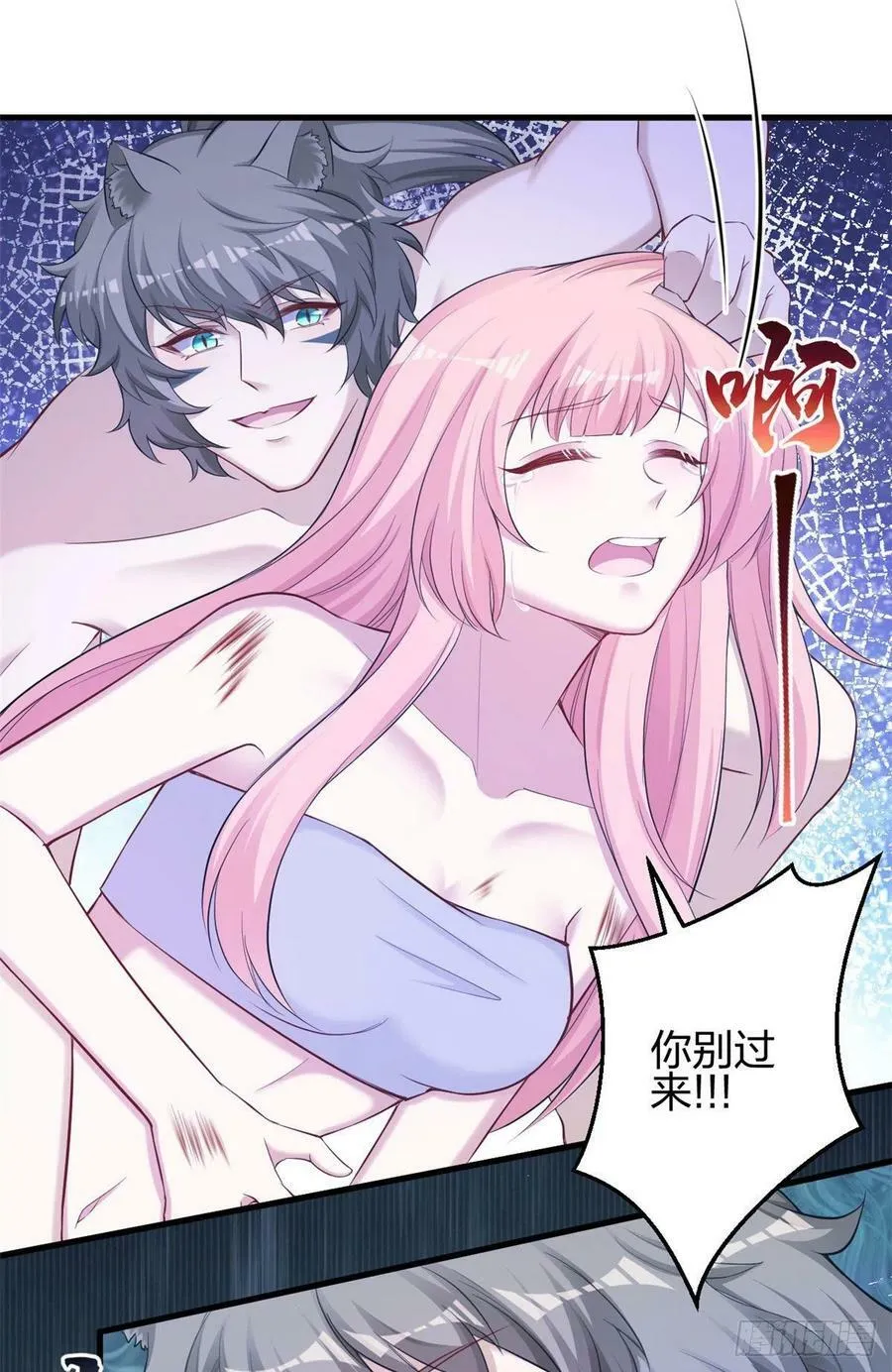 355 第2页