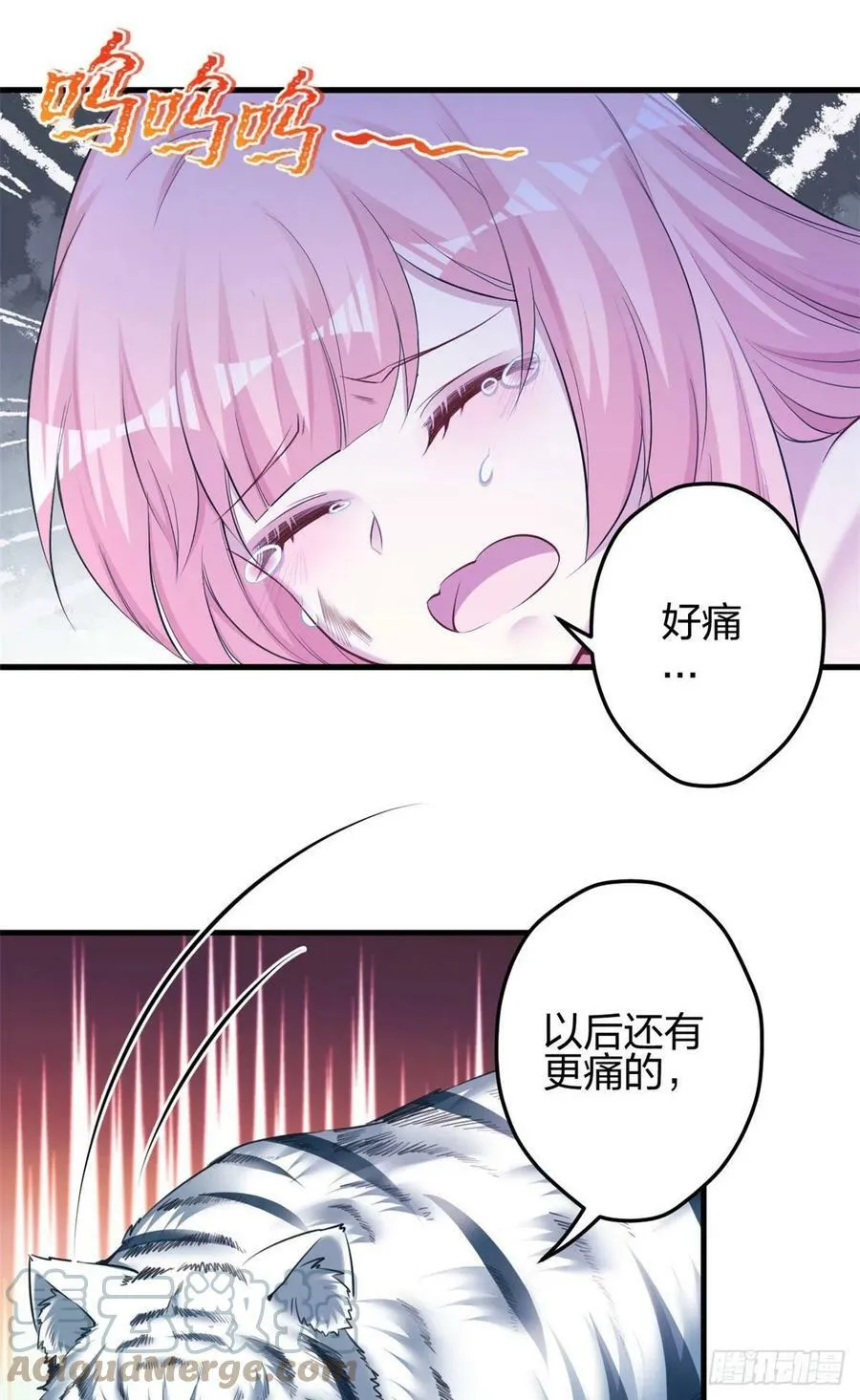 355 第29页