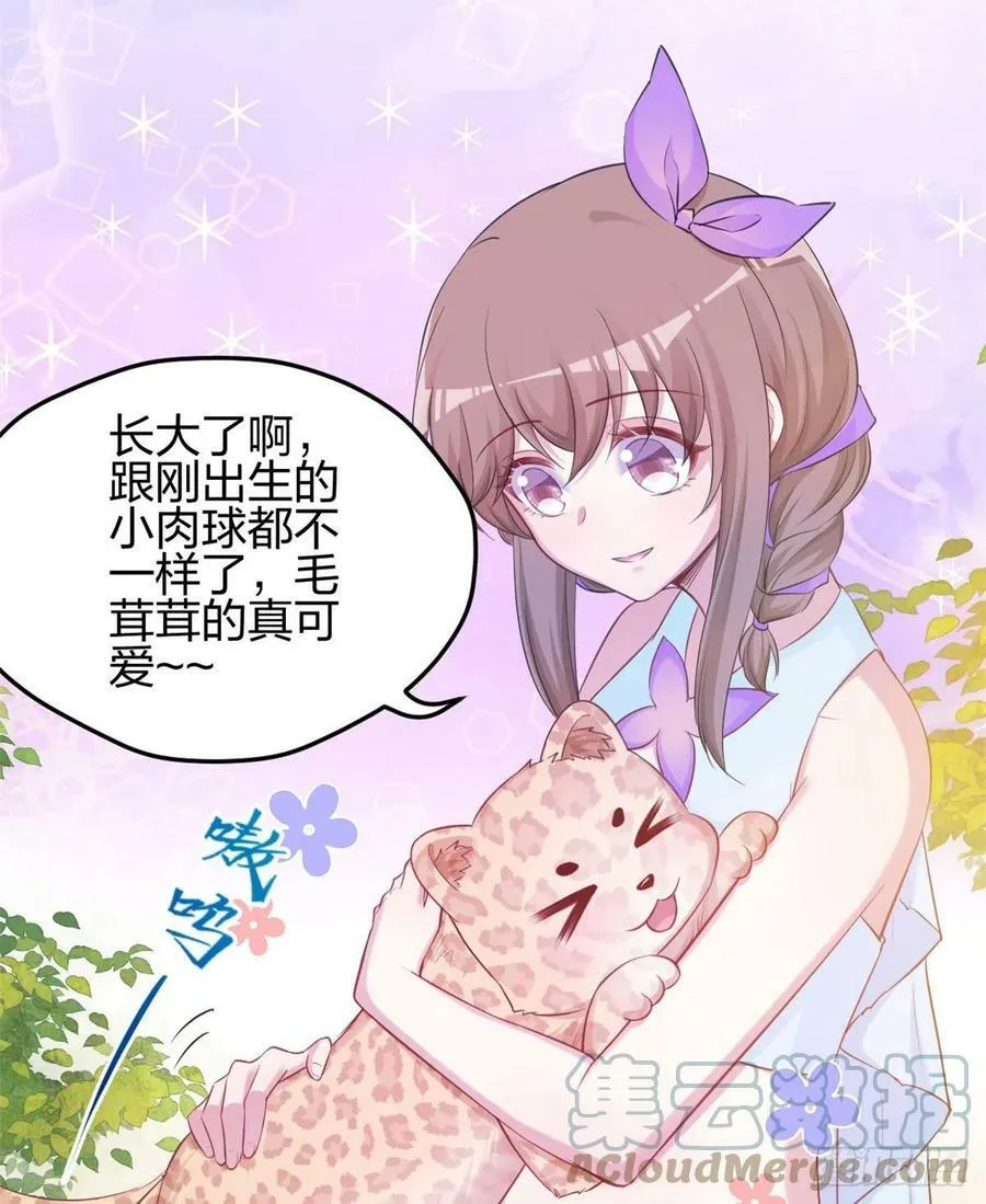 349 第46页