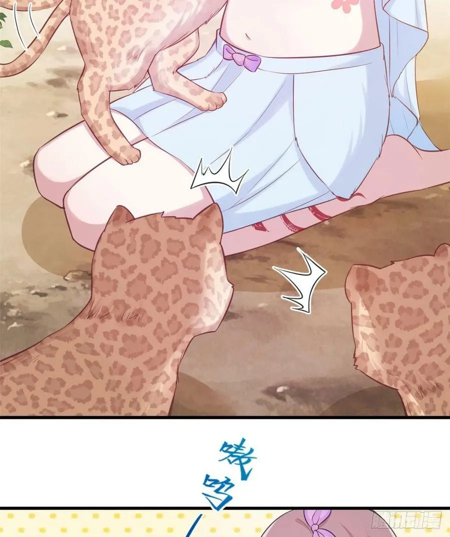 349 第47页
