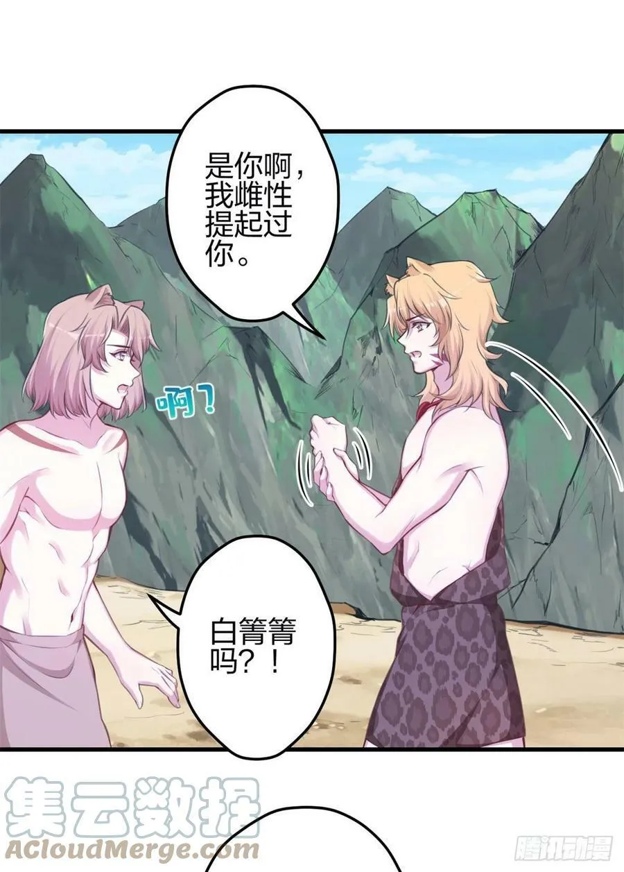 347 第37页