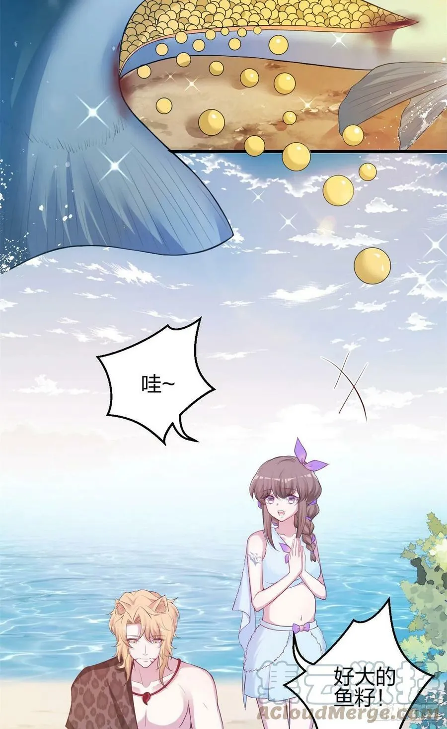 342 第16页