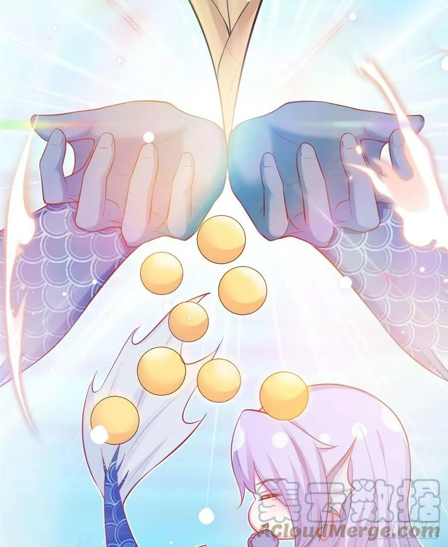 342 第31页
