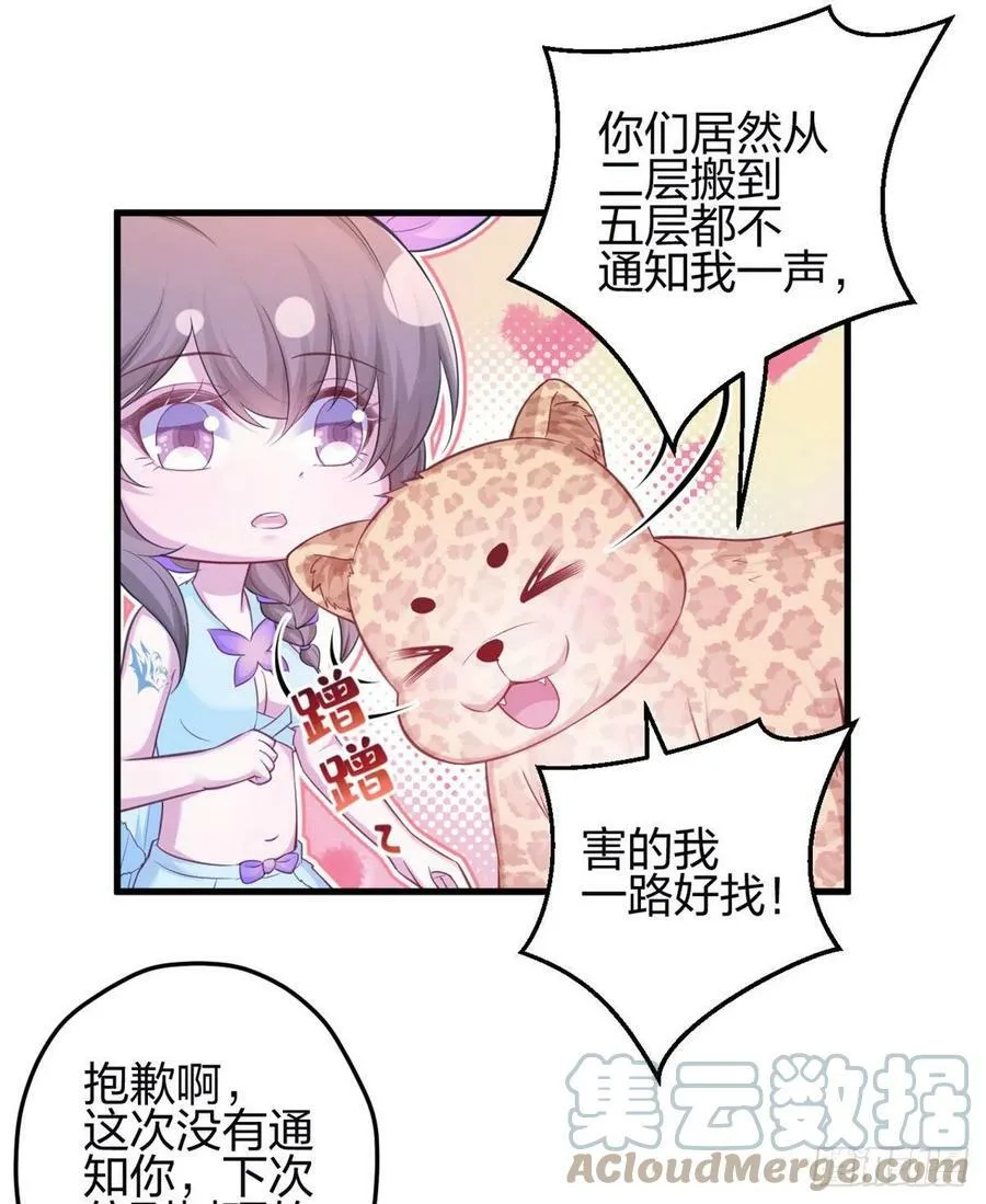 341 第43页