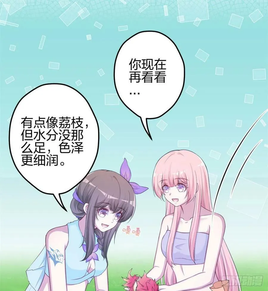 339 第24页