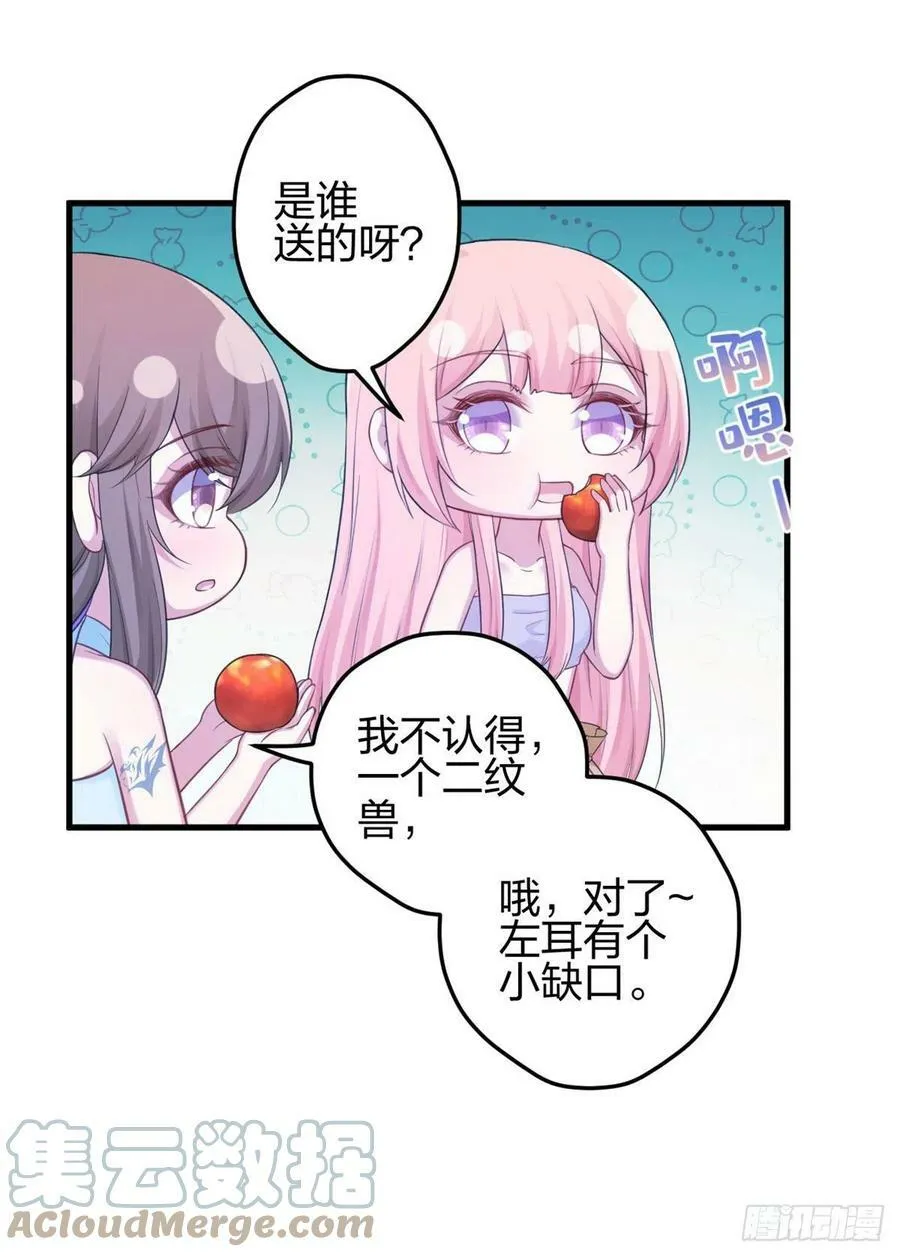 339 第46页