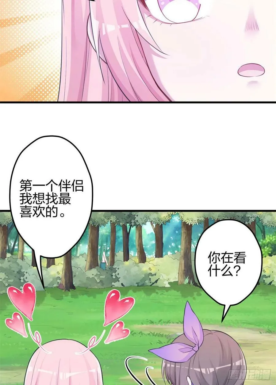 339 第50页