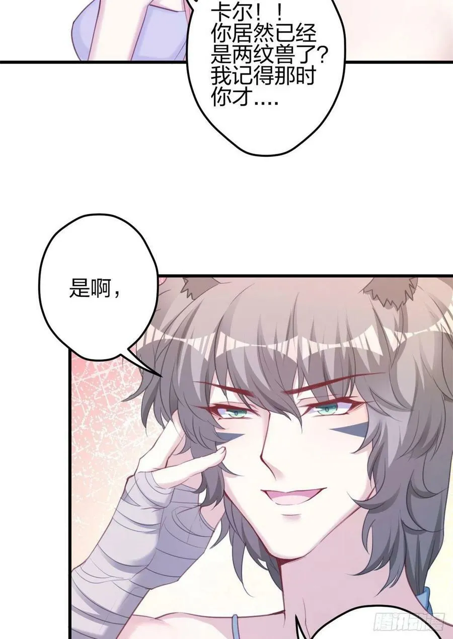 337 第23页