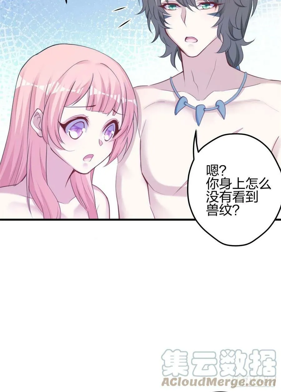337 第25页