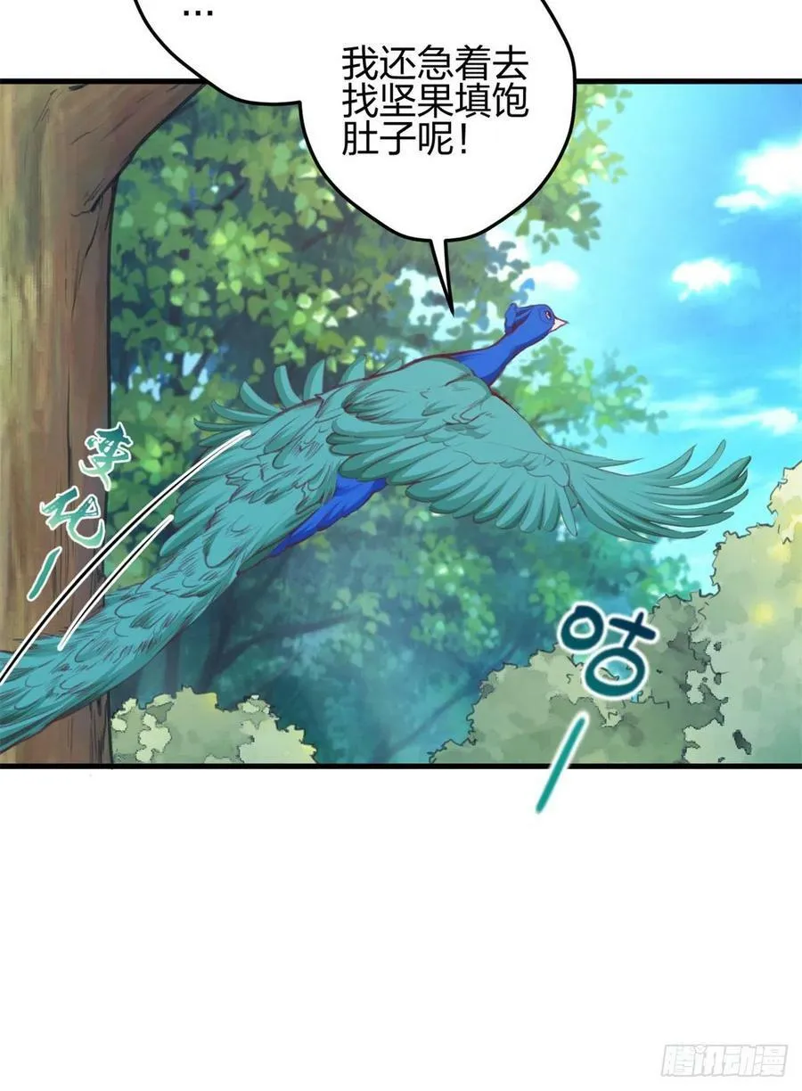 337 第35页