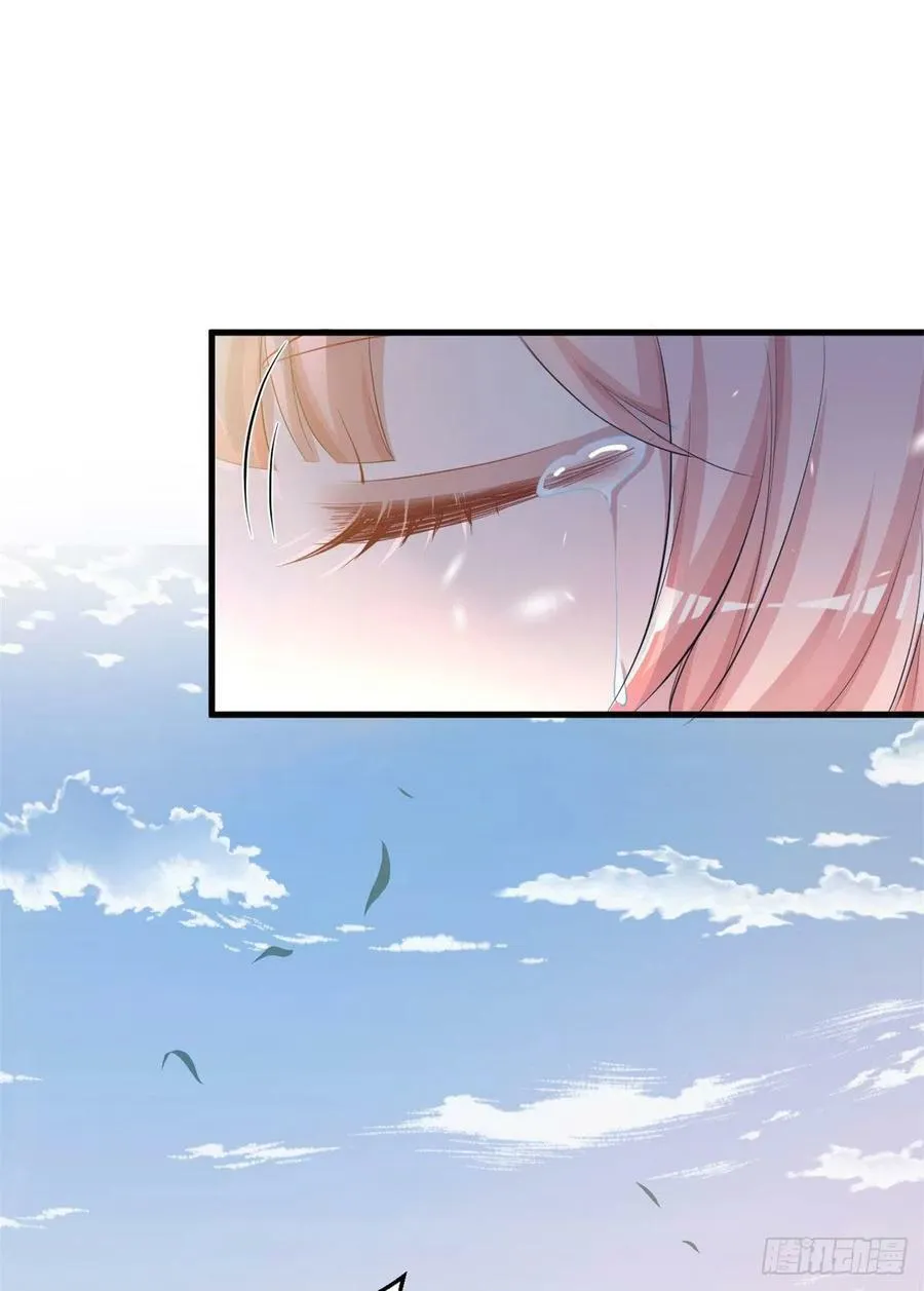 338 第17页