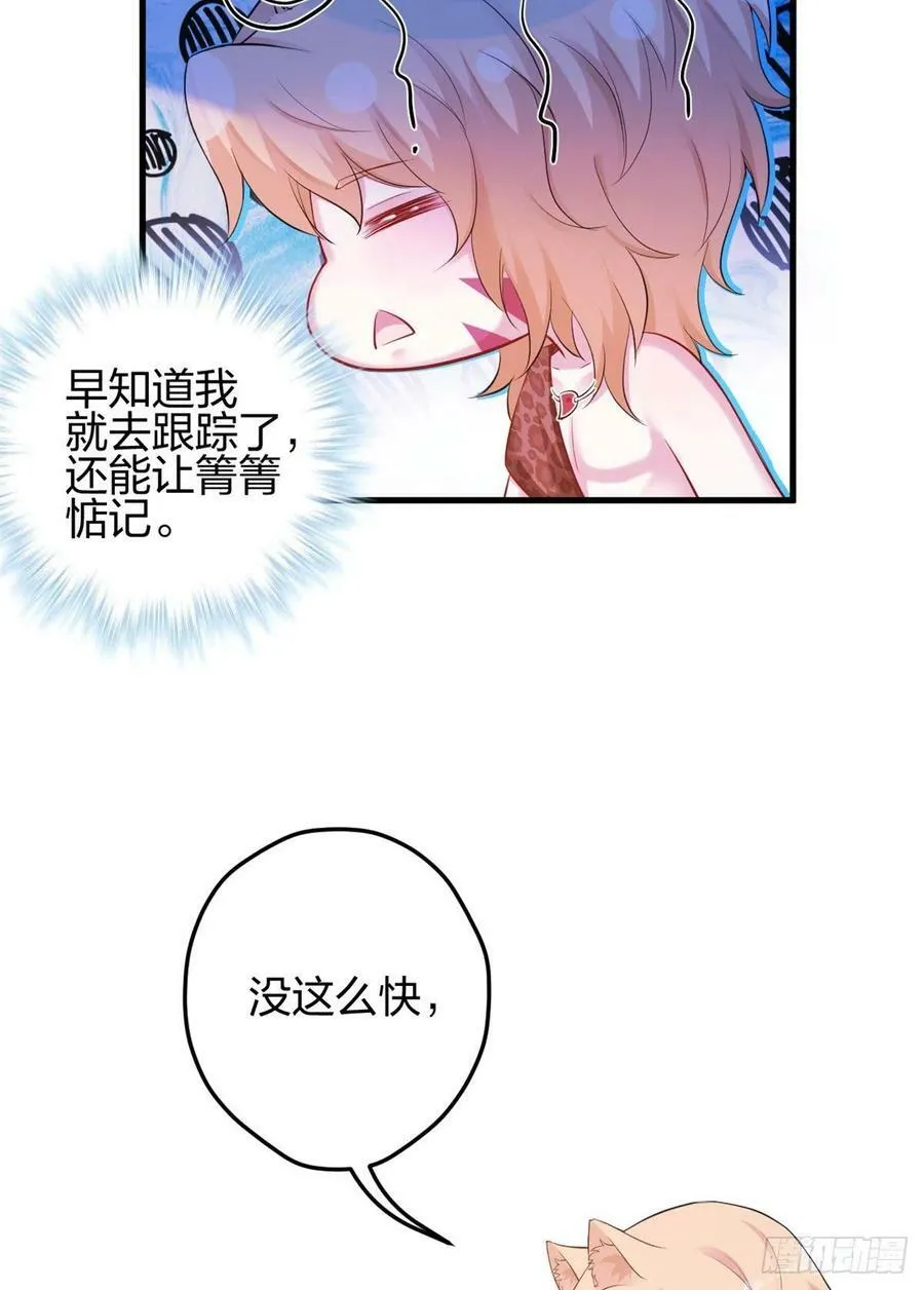 338 第41页