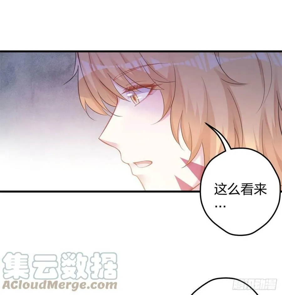338 第43页
