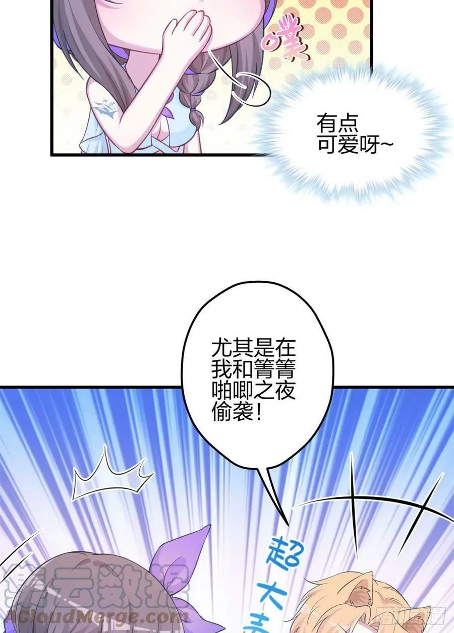 335 第13页