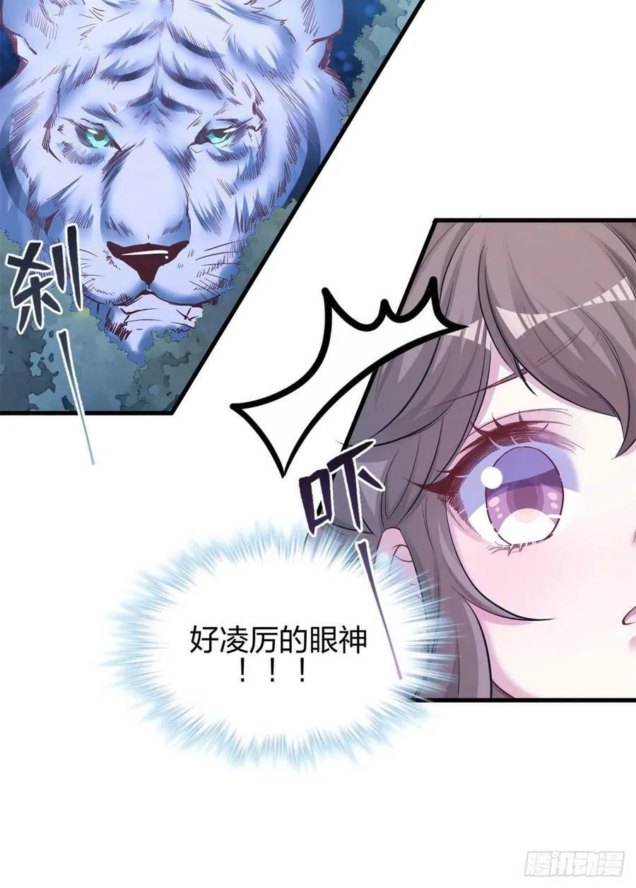 335 第26页