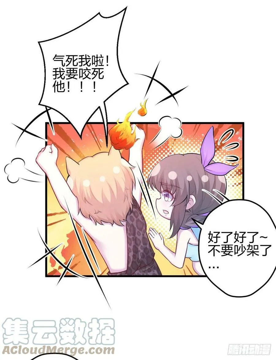 335 第41页