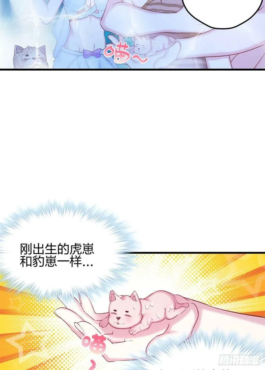 333 第17页