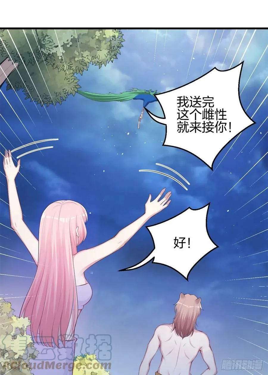 331 第43页
