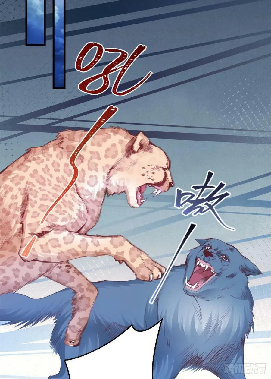 330 第29页