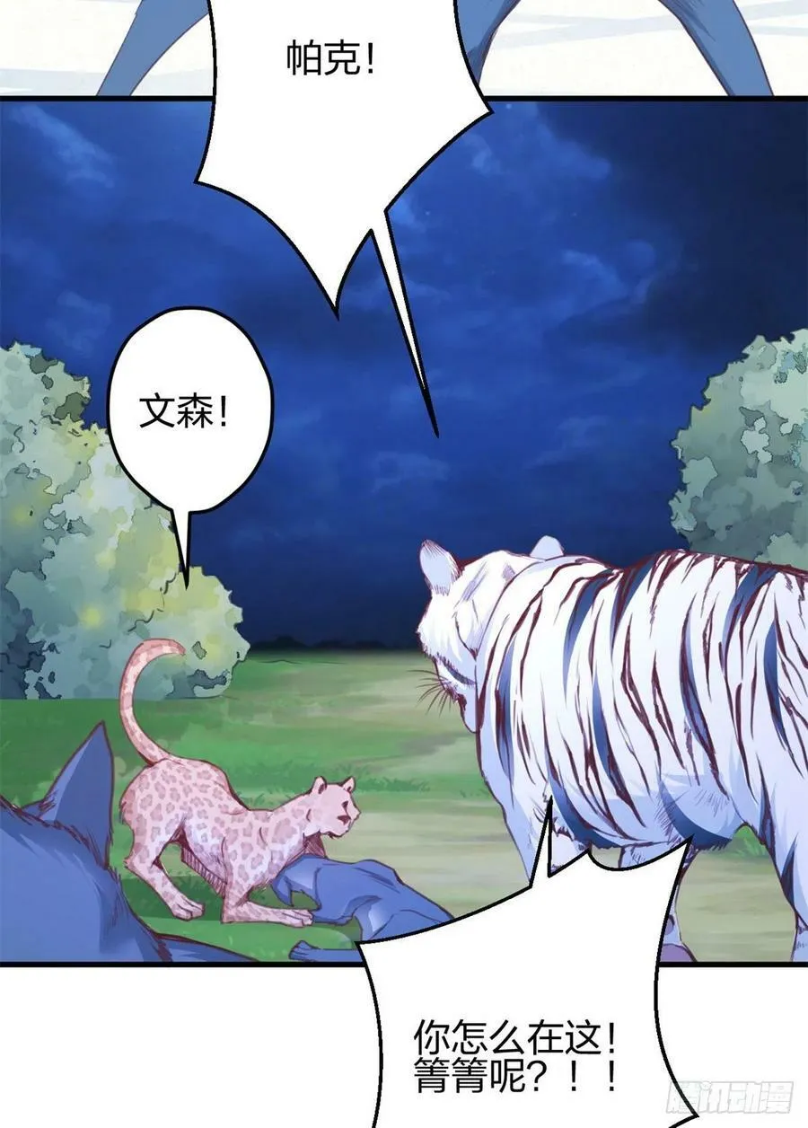 330 第30页