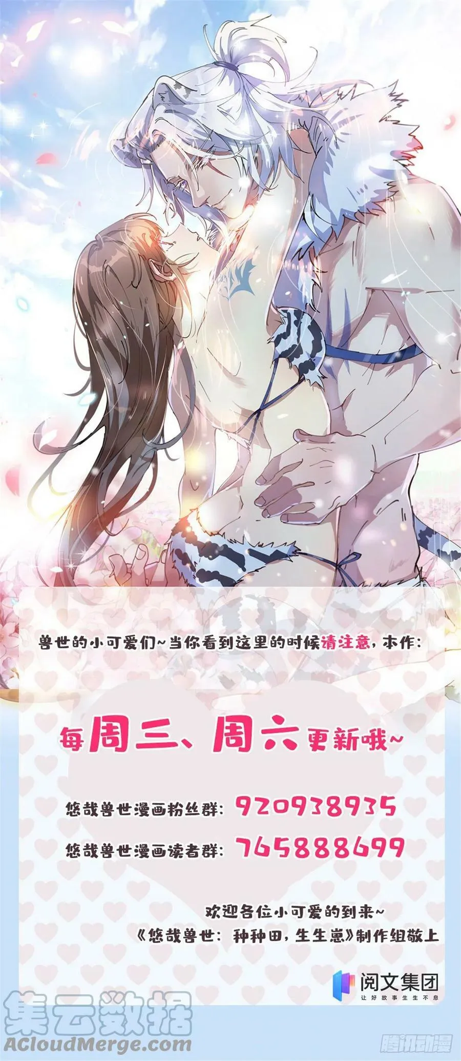 319 第41页