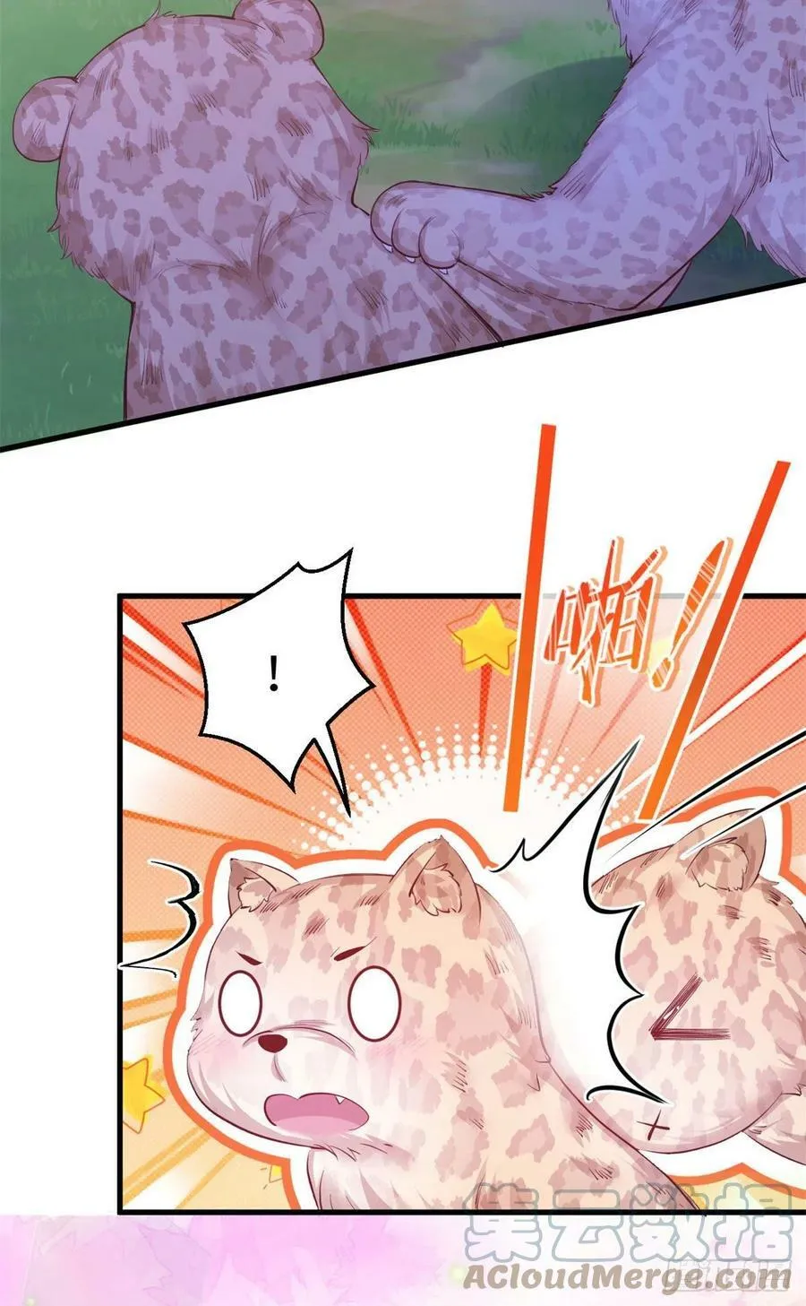 305 第17页
