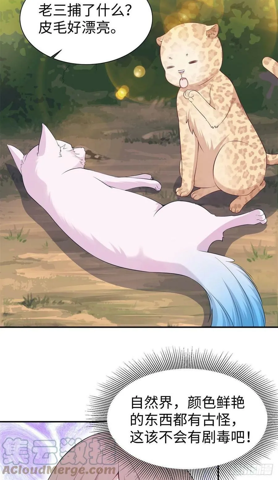 297 第31页