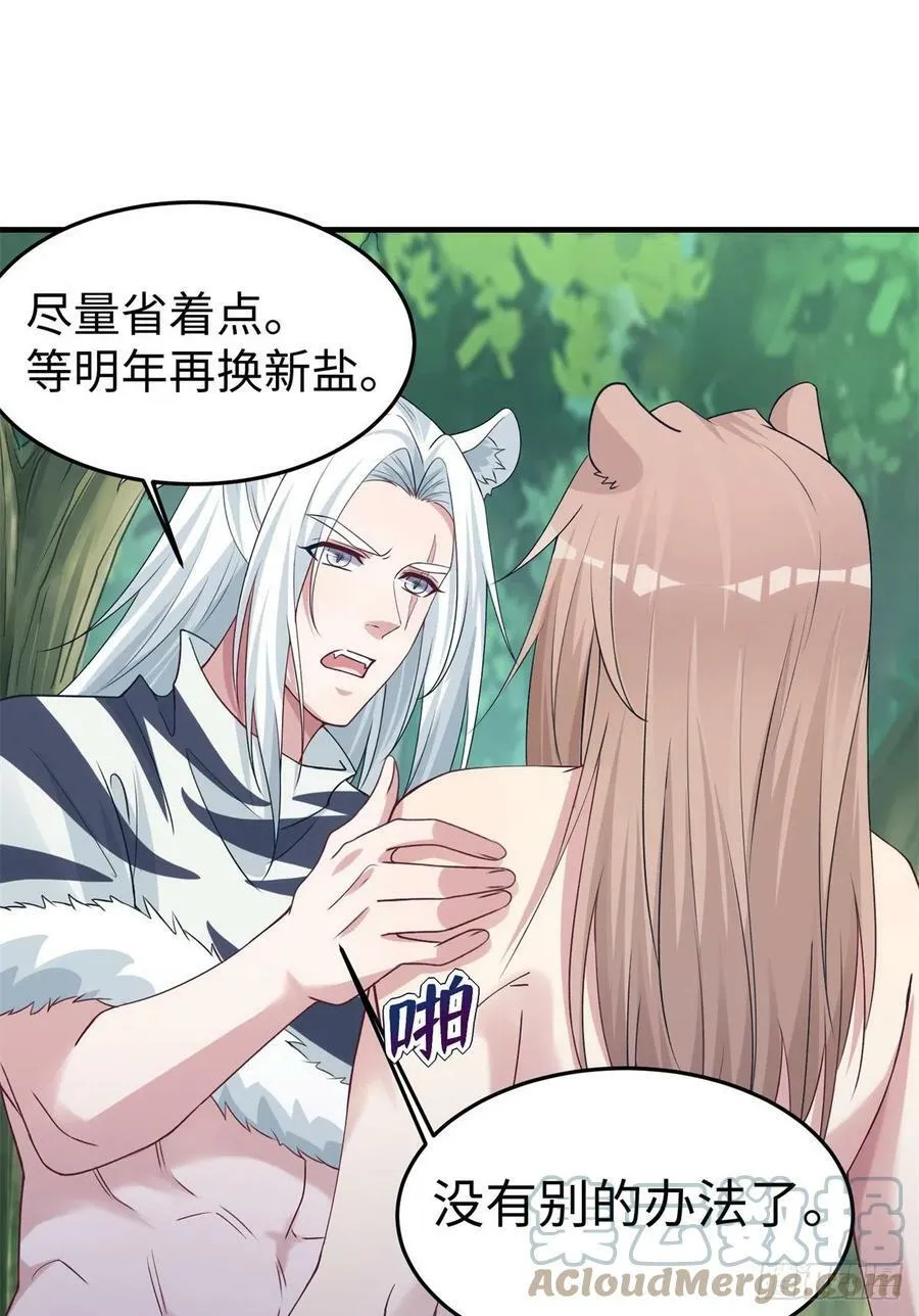 293 第19页