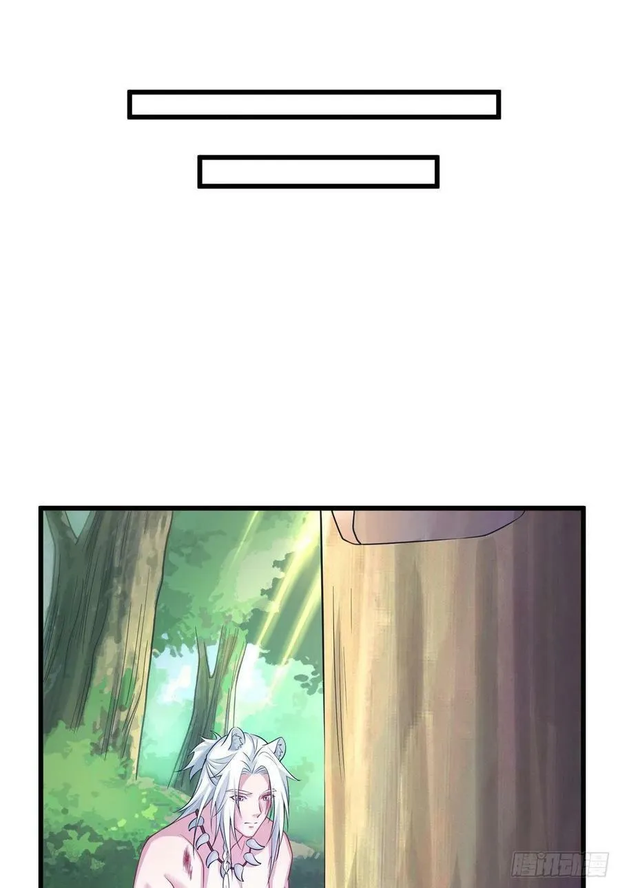 290 第41页
