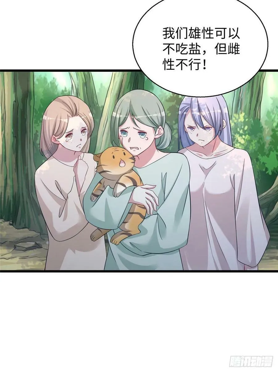 284 第27页