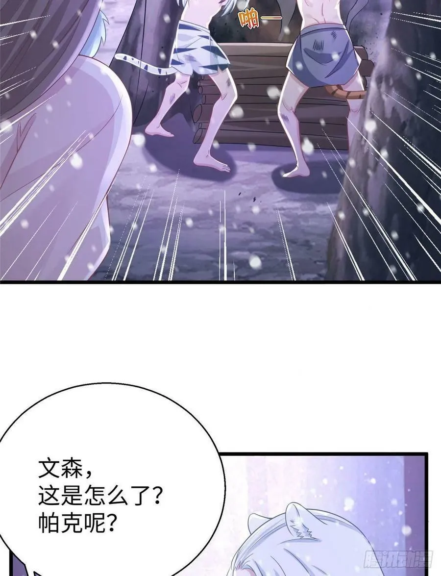 278 第5页