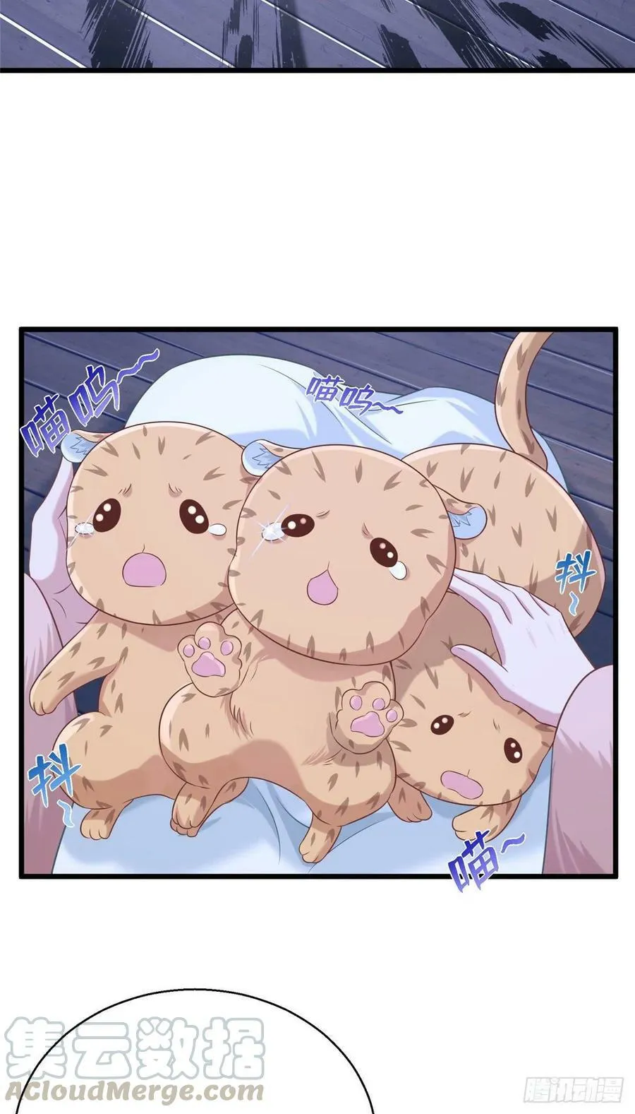 275 第29页