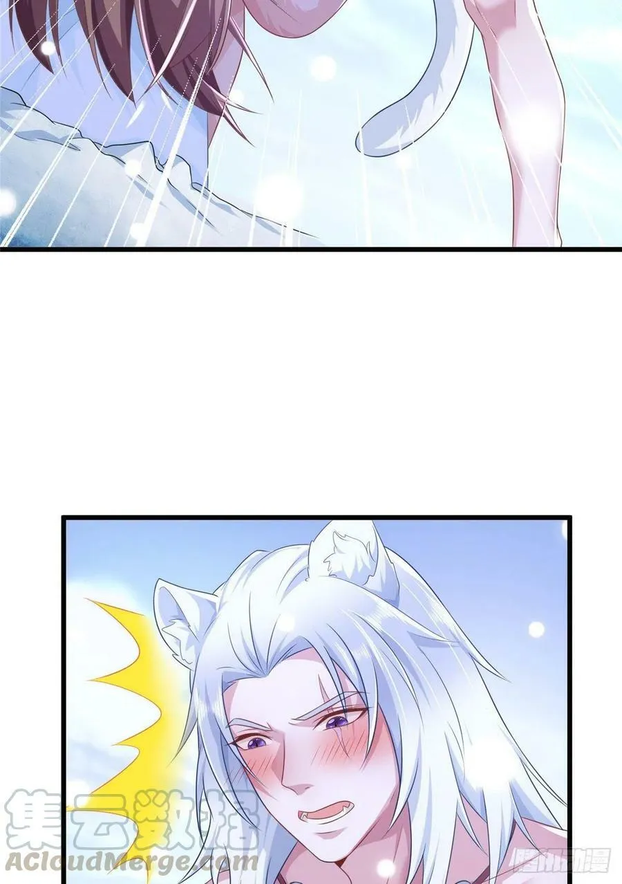 272 第13页
