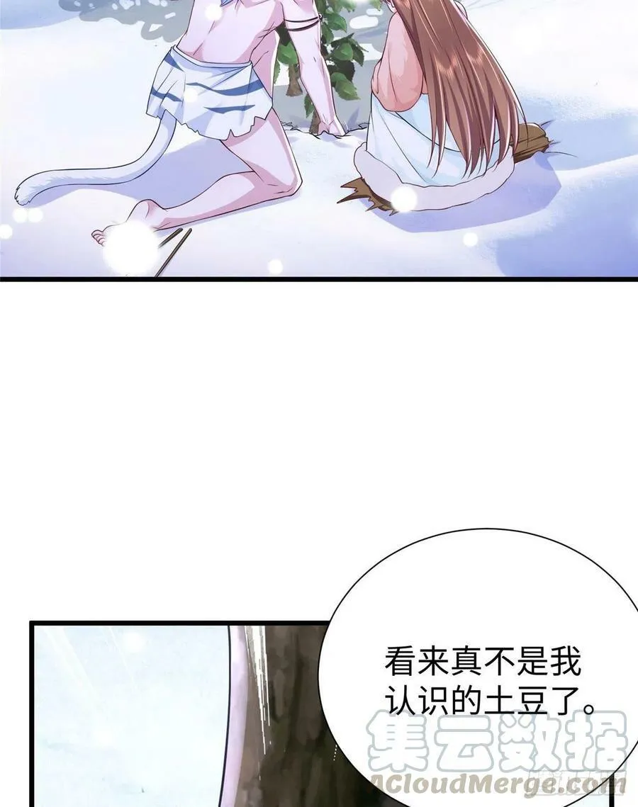 272 第25页