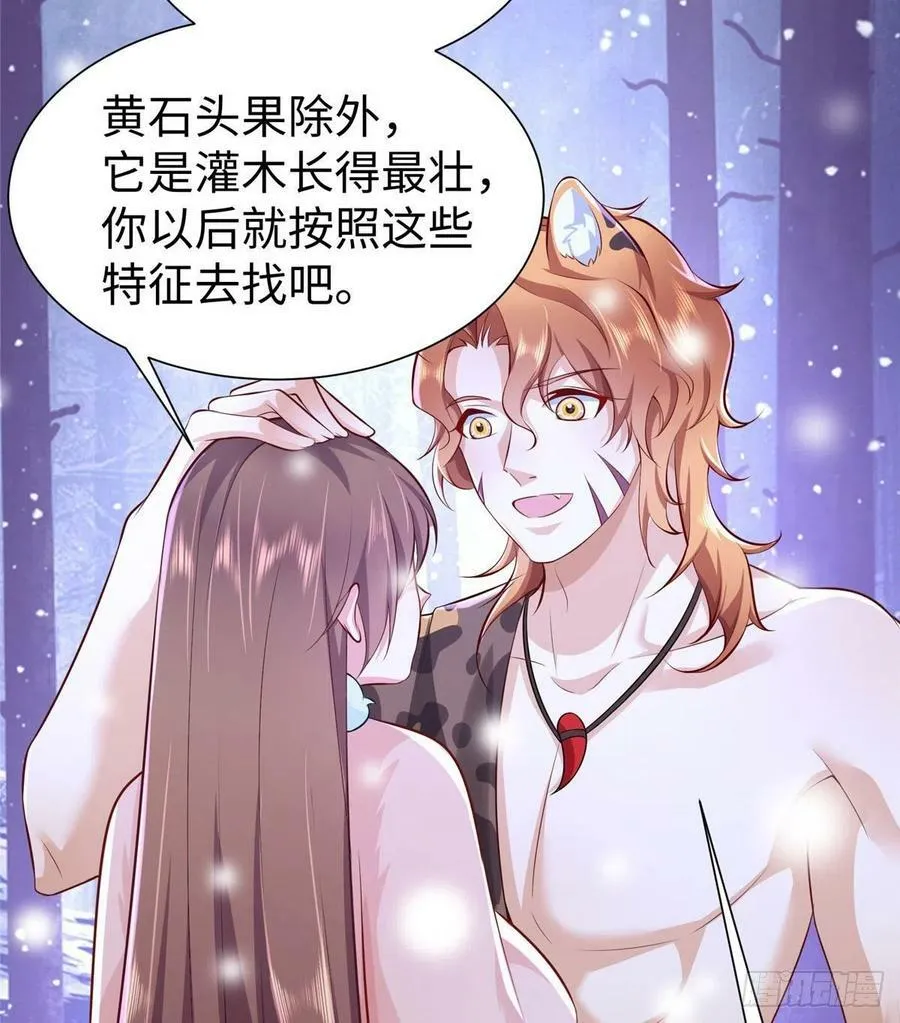 272 第35页