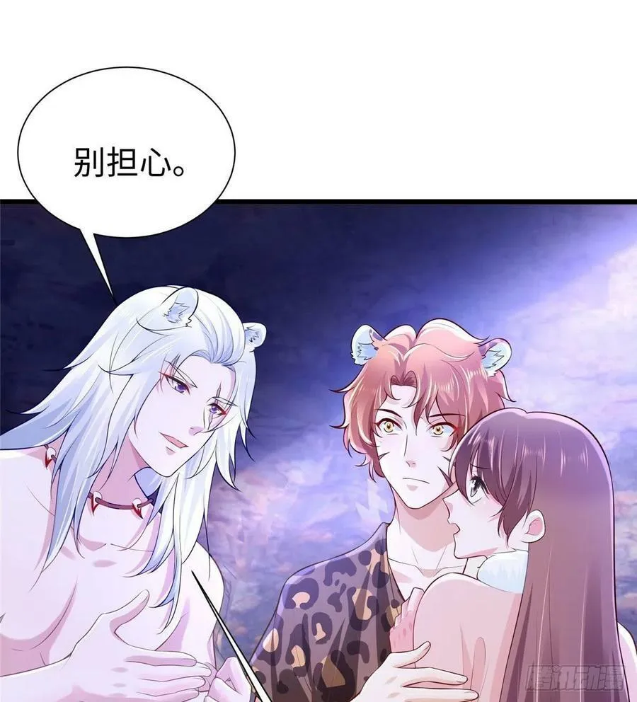 271 第17页