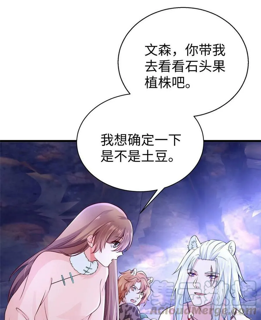 271 第40页