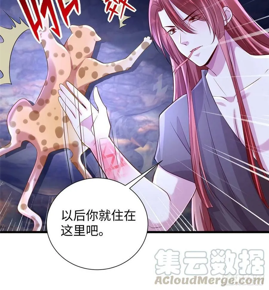 267 第13页