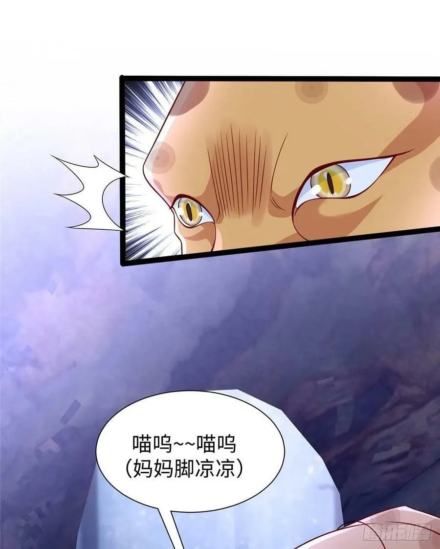 267 第17页