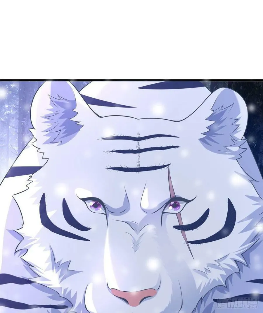 266 第8页