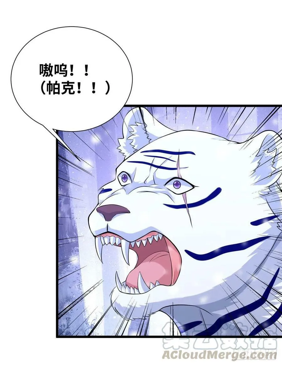 266 第28页