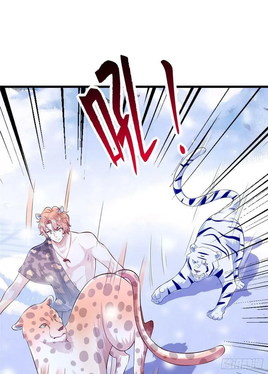 266 第29页
