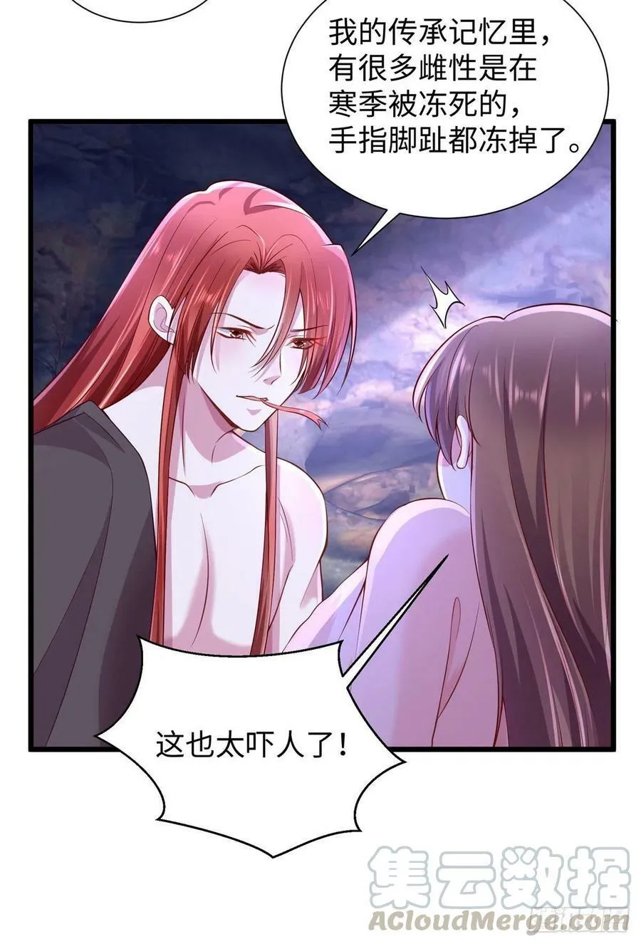266 第49页