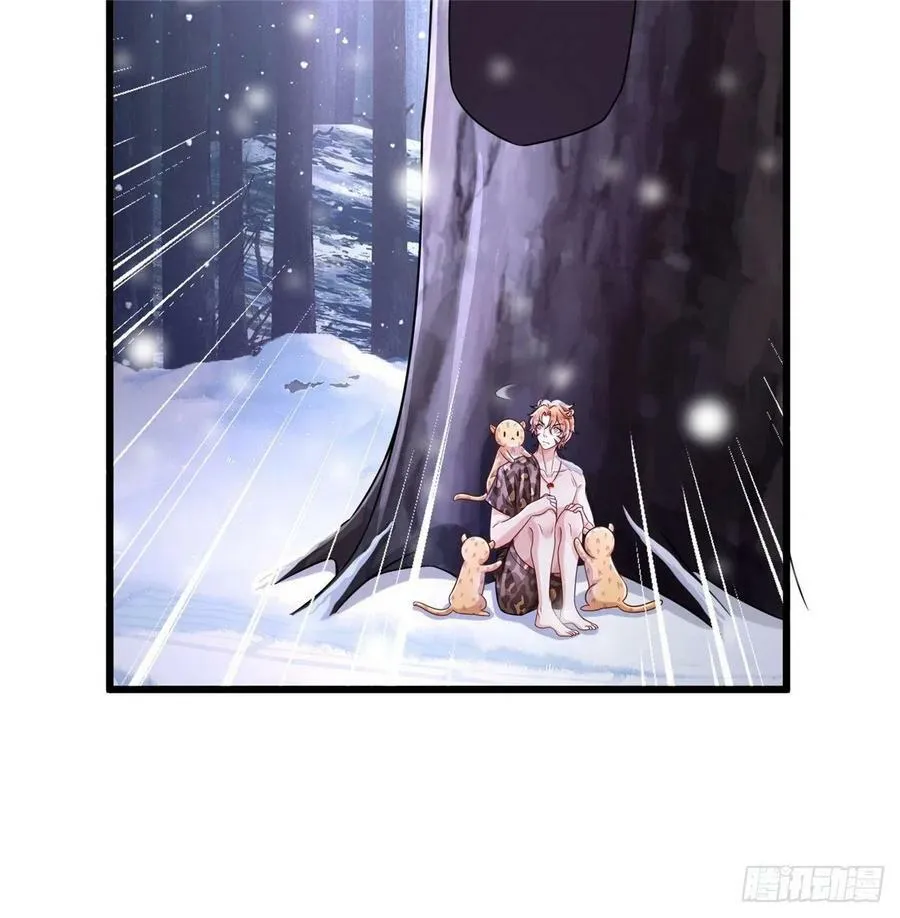 264 第3页