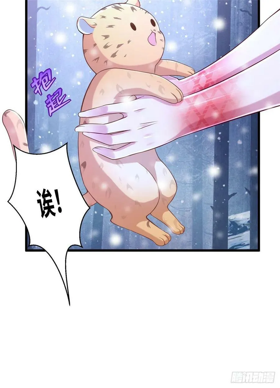 264 第9页