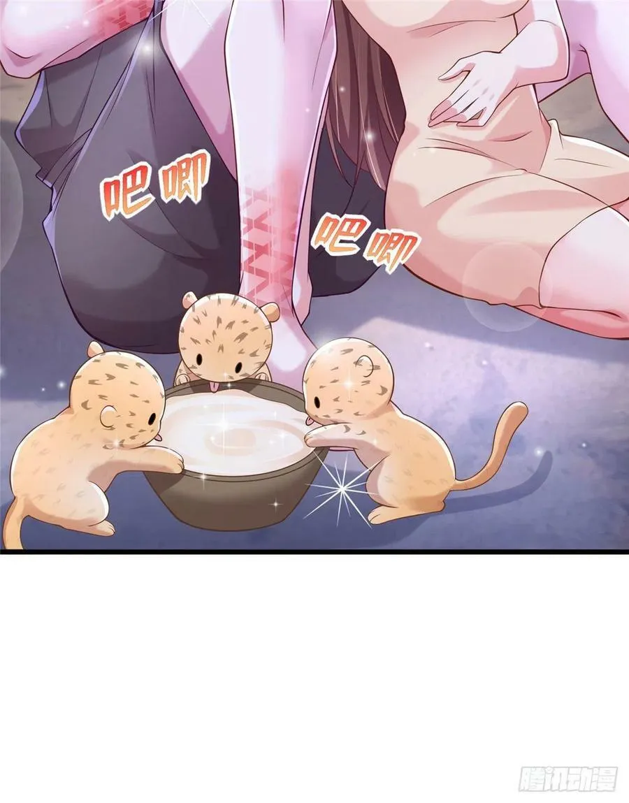 264 第17页