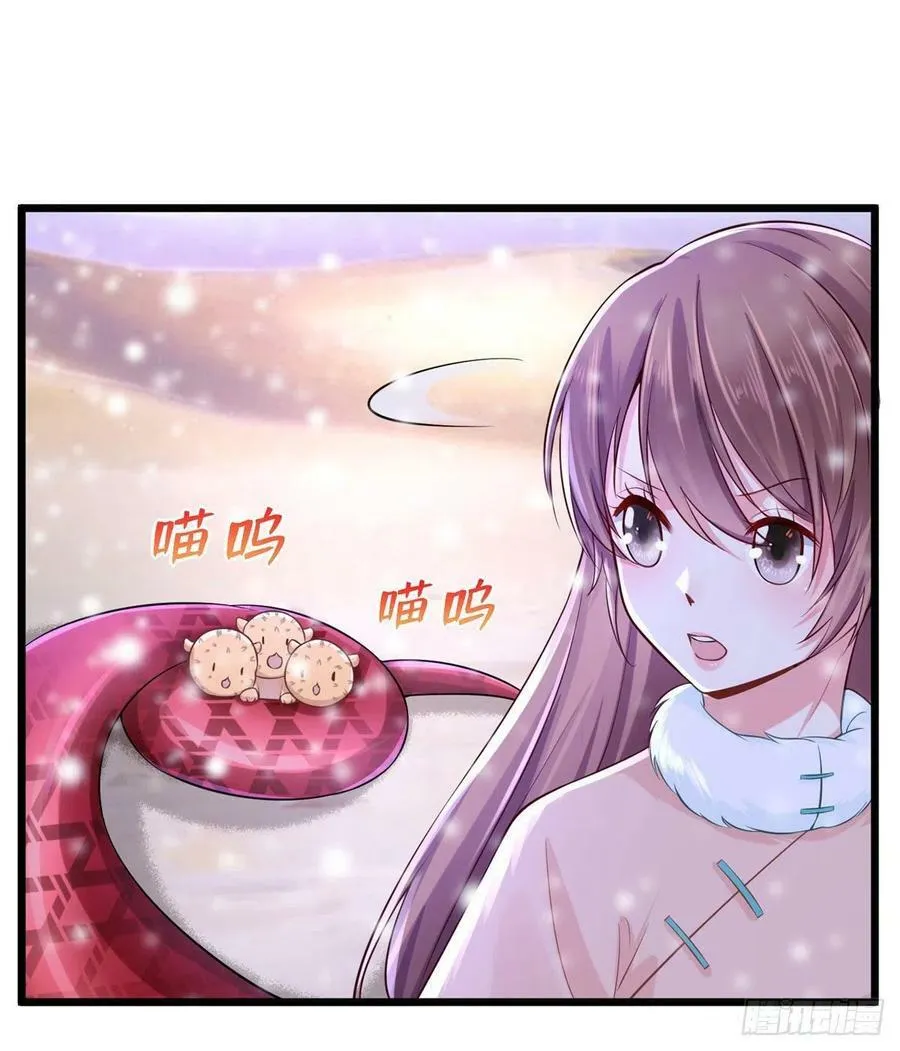 262 第17页