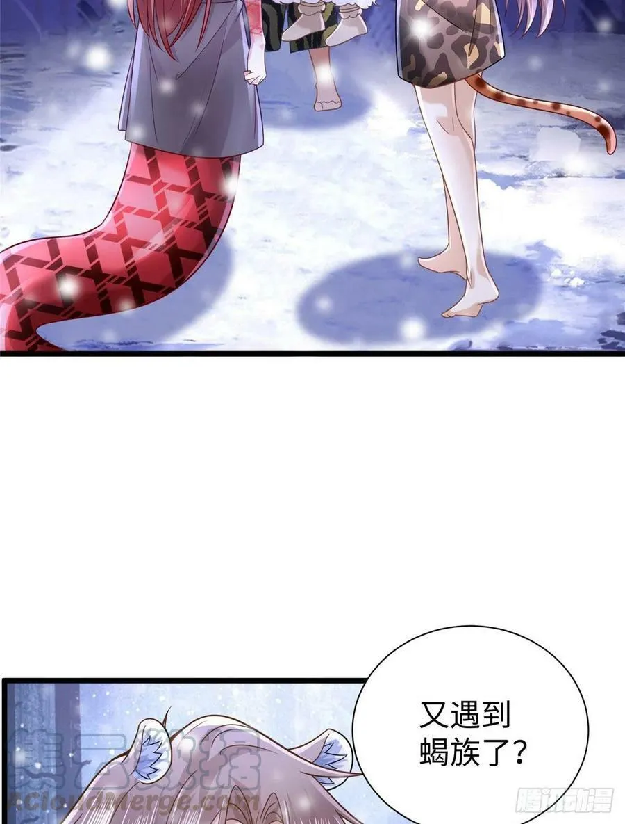 262 第55页