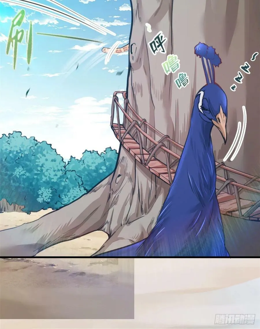 第206话 第13页