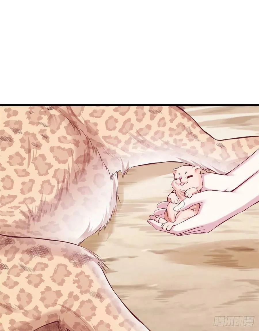 第204话 第14页